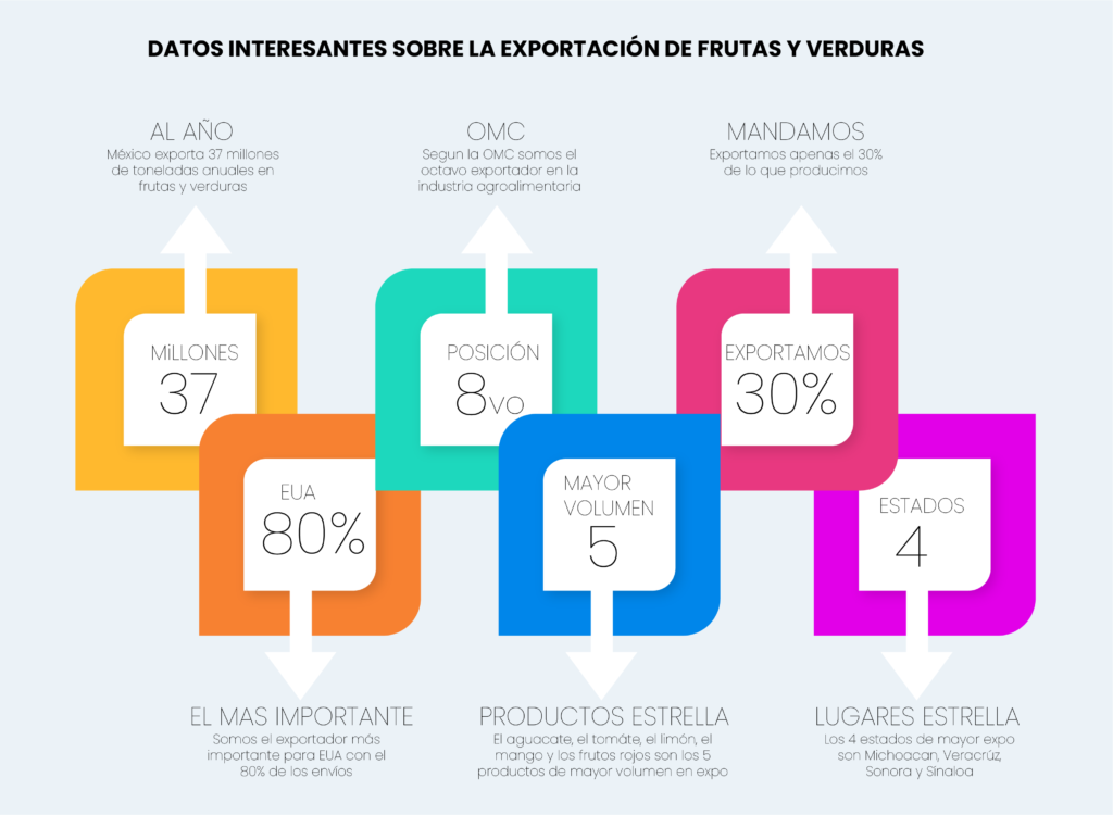 Datos de exportación de frutas y verduras en México