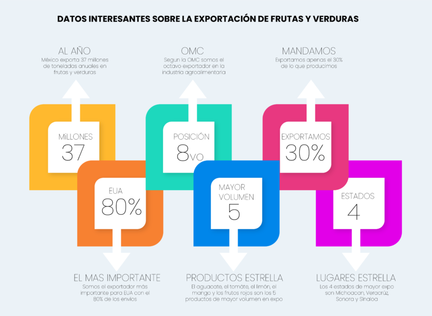 Exportación de Frutas y Verduras desde México: Requisitos