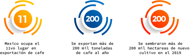 números cafe mexicano