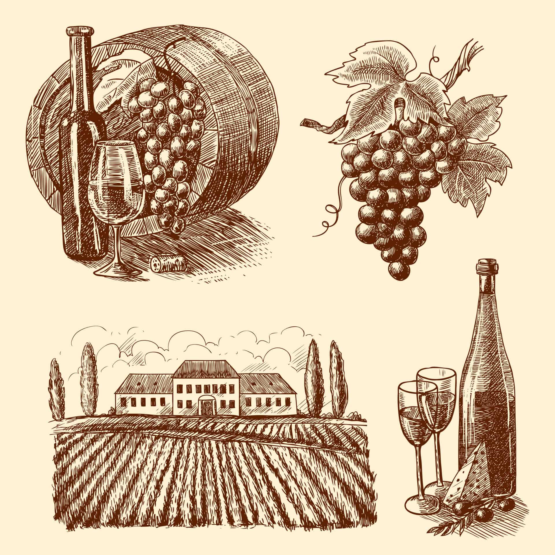 exportacion vino