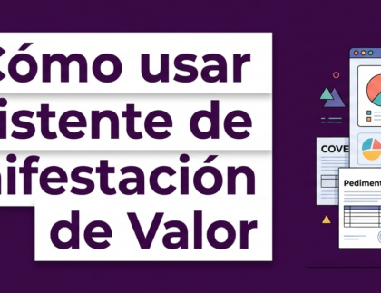 Como usar asistente de Manifestación de Valor VOLCA 11 Guía Asistente Manifestación de Valor