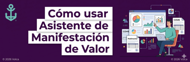 Guía Asistente Manifestación de Valor
